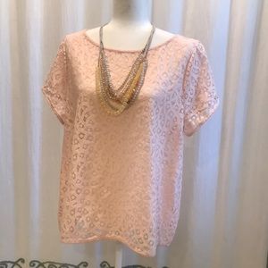 LOFT EUC soft pink sheer lace top XL